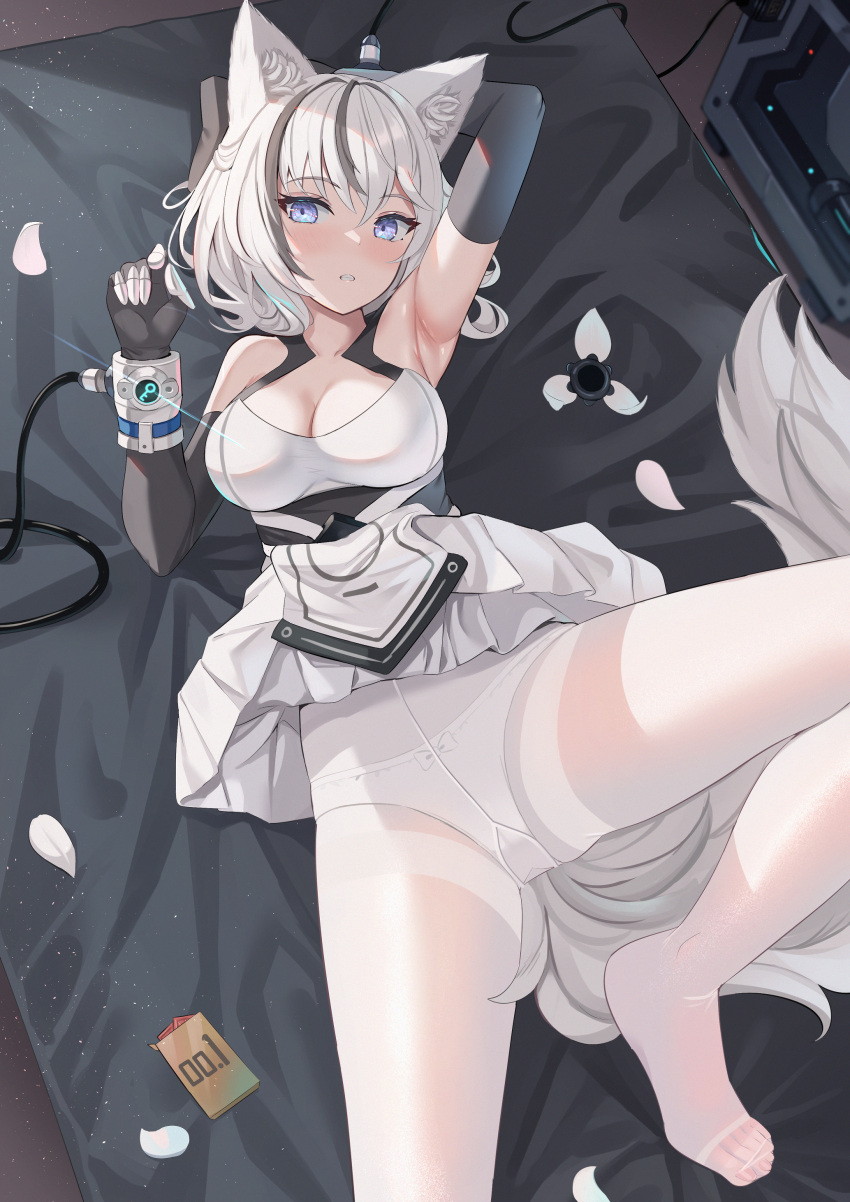 1girl absurdres animal_ears arm_behind_head arm_up armpits bare_shoulders bed black_gloves blue_eyes breasts cleavage clenched_teeth condom_box dress elbow_gloves fox_ears fox_girl fox_tail gloves gusset hand_up highres large_breasts looking_at_viewer lying medium_hair mirufuaa multicolored_hair no_shoes on_back original panties panties_under_pantyhose pantyhose petals short_dress short_hair sleeveless sleeveless_dress solo streaked_hair tail teeth thighband_pantyhose underwear white_dress white_hair white_panties white_pantyhose