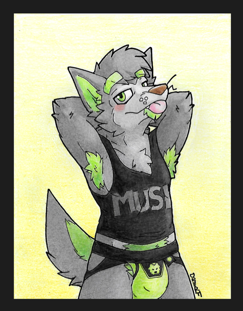 anthro armpit_hair body_hair bulge canid canine canis clothing danwolf15 danwolf_(character) hi_res male mammal musk pubes smelly solo underwear wolf