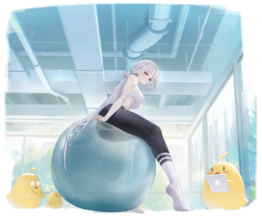 1girl arm_support artist_request ass azur_lane ball bare_arms bare_shoulders bird black_pants blush breasts chick crop_top day exercise_ball from_below from_side full_body hair_between_eyes highres indoors large_breasts legs logo_parody long_hair looking_at_viewer looking_down looking_to_the_side low-tied_long_hair low_ponytail manjuu_(azur_lane) marseillaise_(azur_lane) marseillaise_(fighting_angel's_regimen)_(azur_lane) midriff no_shoes official_alternate_costume official_art pants parted_lips plant ponytail red_eyes shirt sitting sleeveless socks sportswear sweat tank_top thighs tight_clothes tight_pants tree very_long_hair white_hair white_shirt white_socks white_tank_top window yoga_pants