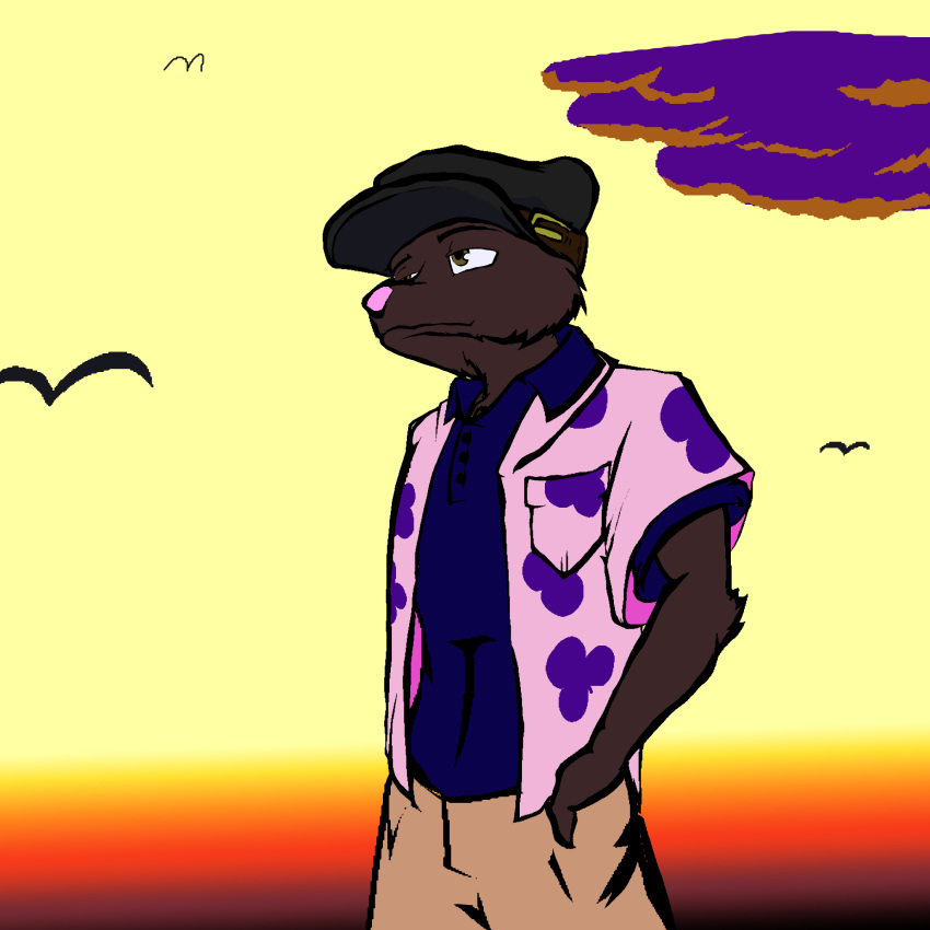 absurd_res aloha_shirt anthro biohound canid clothing cloud dress_shirt hand_in_pocket hat headgear headwear hi_res khaki_shorts male mammal pattern_clothing pattern_shirt pattern_topwear pink_clothing pink_nose pink_shirt pink_topwear pockets shirt solo sunset topwear unnamed_character