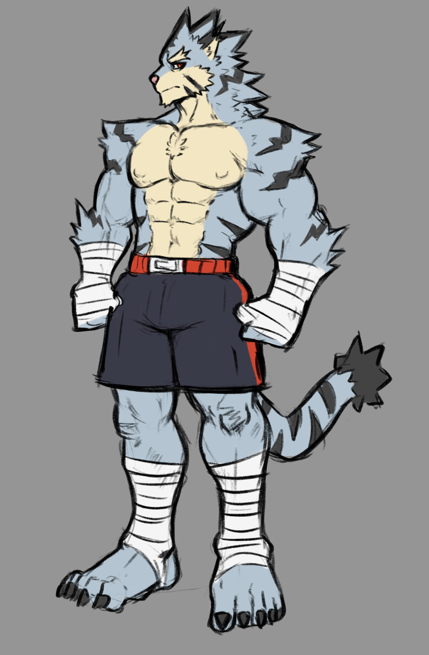 absurd_res anthro bandage bottomwear claws clothing dynogreeno feet felid feline fur hi_res male mammal muscular muscular_anthro muscular_male pantherine shorts solo stripes tail tiger