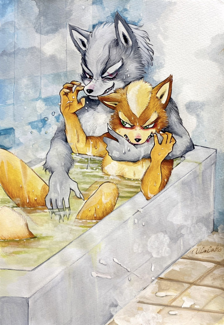 age_difference anthro arm_around_partner bathing bathing_together bathroom bathtub canid canine canis dominant dominant_anthro dominant_male duo foreplay fox fox_mccloud frown frowning_at_another frowning_at_partner fur grin hi_res holding_another holding_partner imminent_sex male male/male mammal muscular muscular_anthro muscular_male nintendo nude nude_anthro nude_male older_anthro older_dom_younger_sub older_male older_on_young questionable_consent signature smile star_fox steam submissive submissive_anthro submissive_male touching_another ulala_ko wet wet_body wet_fur wolf wolf_o'donnell younger_anthro younger_male