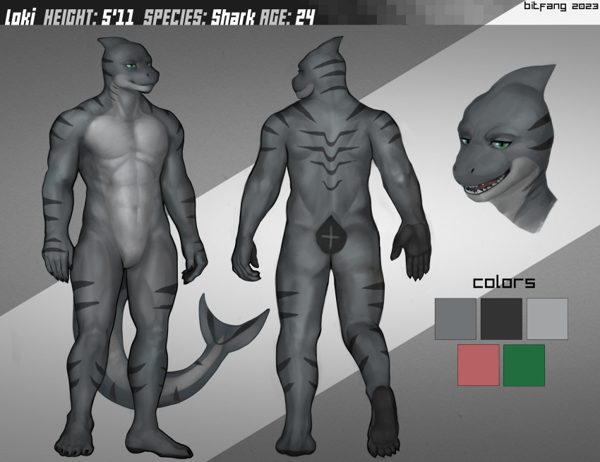 5_fingers anthro biped bitfang claws color_swatch countershade_face countershade_torso countershading fin fingers fish grey_body hi_res male marine model_sheet shark solo striped_body stripes tail tail_fin