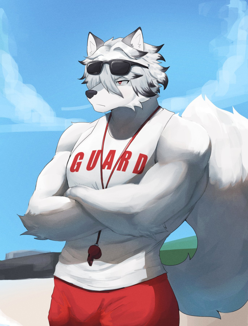 2023 anthro athletic athletic_anthro athletic_male black_nose bottomwear canid canine canis clothing fur hair hi_res lifeguard looking_away male mammal mihoyo pants pureolliebranch red_eyes sky solo tail topwear von_lycaon whistle_(object) white_body white_fur white_hair wolf zenless_zone_zero