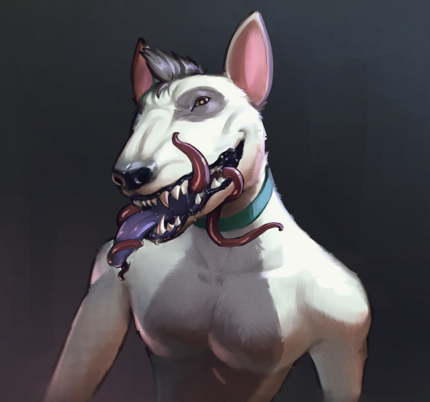 absurd_res anthro brown_eyes bull_terrier canid canine canis collar domestic_dog fur grey_body grey_fur hi_res hunting_dog invalid_tag lazlo_(lazlomirk) looking_at_viewer male mammal multicolored_body multicolored_fur napalm_express open_mouth solo teeth tentacles terrier tongue two_tone_body two_tone_fur white_body white_fur