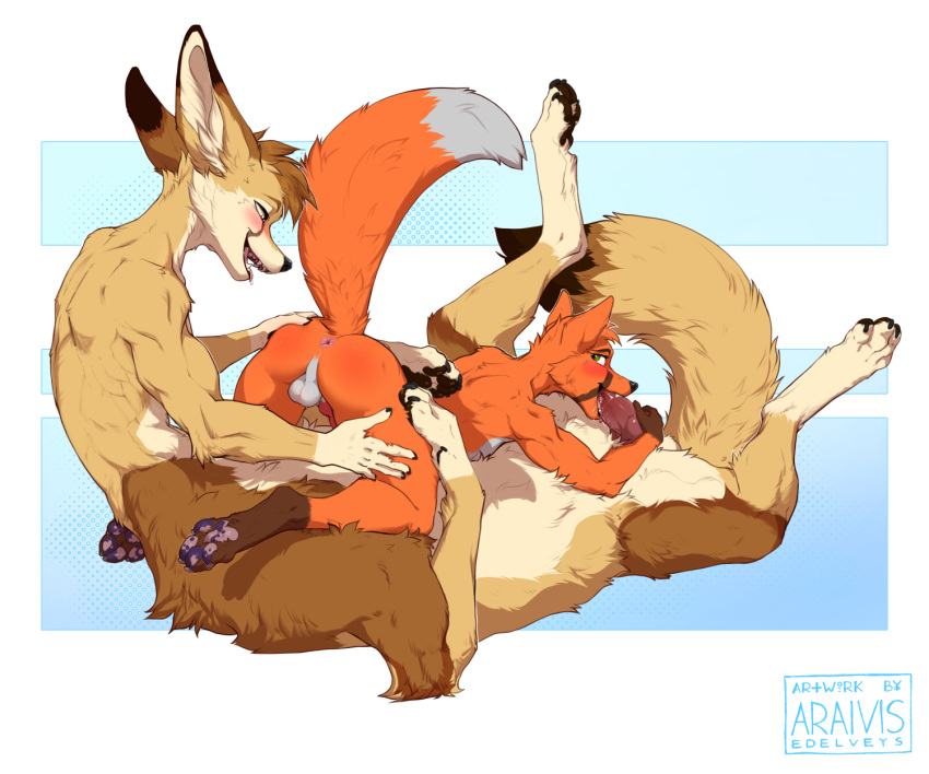 5_fingers 6_limbs all_fours animal_genitalia animal_penis anthro anthro_on_taur anthro_penetrated anus araivis-edelveys artan_(artankatana) balls big_ears blush bodily_fluids canid canine canine_genitalia canine_penis duo erection fennec fingers fluffy fox fur genitals hand_on_butt hand_on_leg hand_on_penis hand_on_thigh hi_res knot looking_back looking_down lying male male/male male_penetrated male_penetrating male_penetrating_anthro male_penetrating_male mammal nude on_back open_mouth oral oral_penetration orange_body pawpads paws penetration penis raised_tail saliva saliva_on_penis sex spread_legs spreading tail tan_body tan_fur taur taur_penetrating taur_penetrating_anthro