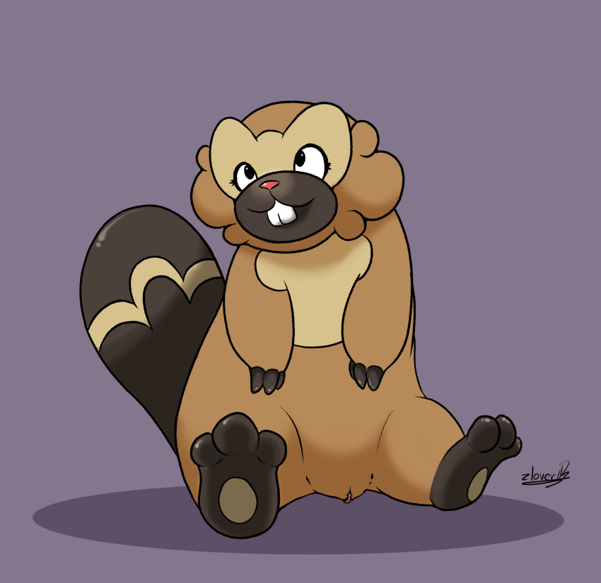 beaver bibarel chubby_female chunkypandaroo feet female feral generation_4_pokemon genitals hi_res mammal nintendo pokemon pokemon_(species) pussy rodent sitting slightly_chubby solo