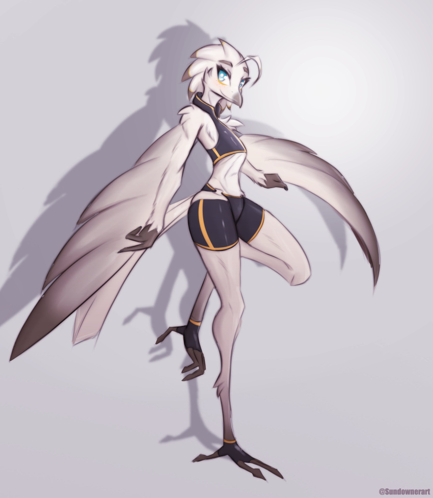 absurd_res anthro avian avian_feet beak bird blue_eyes bottomwear clothed clothing crop_top feathered_arms feathers female footwear freckles hi_res hotpants long_legs lyra_(w4g4) midriff on_one_leg shadow shirt shorts simple_background skinny slim smile solo standing sundownerart tail_feathers tight_clothing toeless_footwear topwear white_body white_feathers