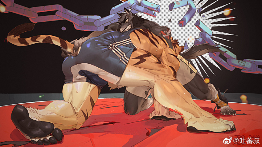 2boys ass bara broken broken_chain bulge chain from_side full_body highres male_focus mature_male multiple_boys muscular muscular_male original singlet spread_legs sweat symbolism tail tail_grab tail_through_clothes thick_thighs thighs tiger_boy tooboshoo very_sweaty wolf_boy wrestling wrestling_ring