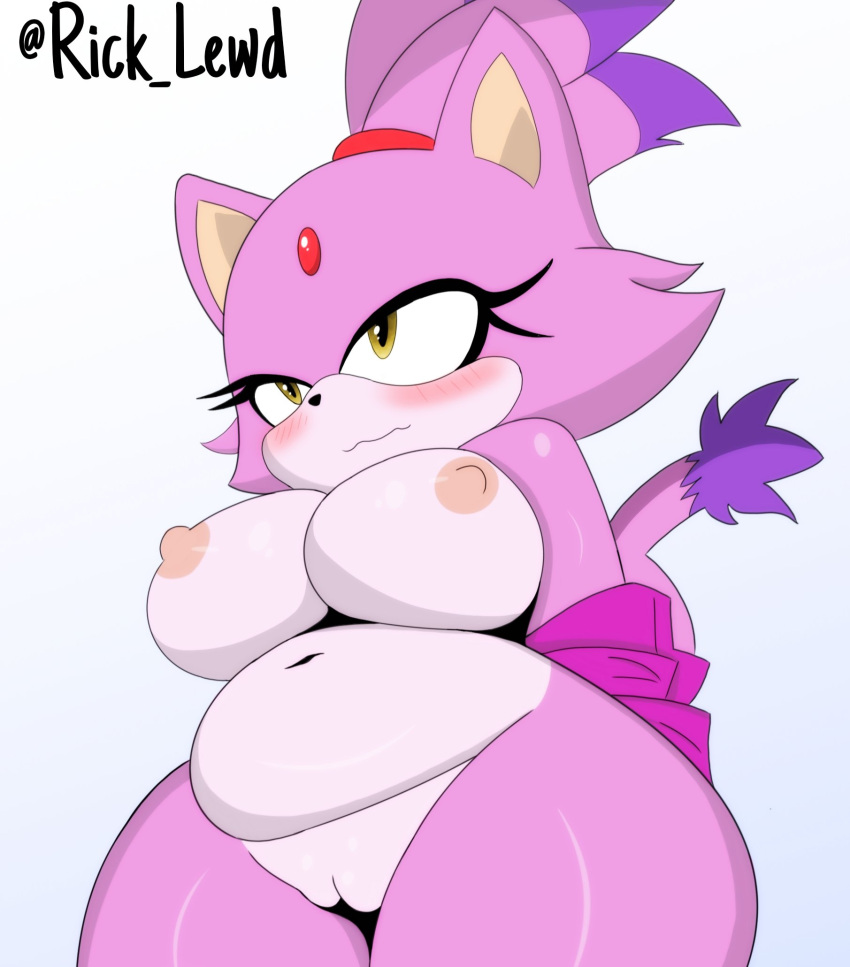 anthro big_breasts blaze_the_cat blush breasts chubby_female embarrassed eyelashes felid feline female fur hi_res mammal purple_body purple_fur rick_amv rickamv sega solo sonic_the_hedgehog_(series) thick_thighs yellow_eyes