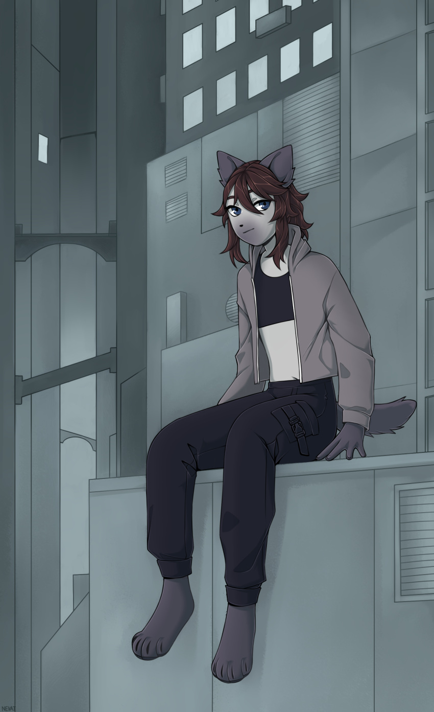 absurd_res anthro blue_eyes bridge building clothing crop_top domestic_cat felid feline felis fur grey_body grey_fur hair hi_res hoodie long_hair looking_at_viewer male mammal neverai shirt short_tail siamese sitting solo sweatpants tail topwear valery_funika window