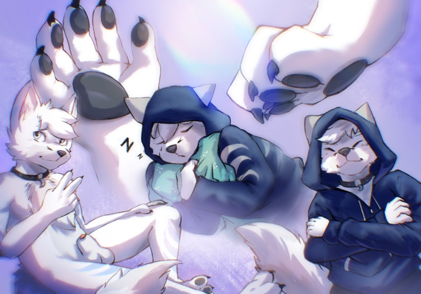 anthro blue_clothing blue_hoodie blue_topwear clothing eyes_closed fur genitals green_pillow hoodie looking_at_viewer male patreon_artist pawpads paws penis pillow purple_background simple_background sleeping solo stampmats topwear white_body white_fur
