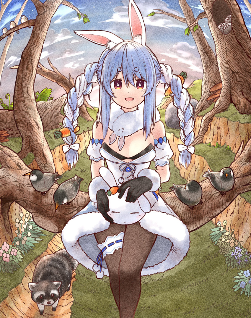 1girl :d animal_ear_fluff animal_ears bare_shoulders bird black_gloves black_leotard blue_flower blue_hair blue_ribbon blush braid branch breasts bridal_garter brown_pantyhose carrot_hair_ornament closed_eyes clothing_cutout cloud coat commentary_request cutout_above_navel detached_sleeves don-chan_(usada_pekora) feet_out_of_frame flower food-themed_hair_ornament fur-trimmed_coat fur-trimmed_gloves fur_trim gloves gradient_sky grass hair_between_eyes hair_ornament highres hololive leotard leotard_under_clothes long_hair looking_at_viewer multicolored_hair mushroom nousagi_(usada_pekora) open_mouth outdoors owl pantyhose parted_bangs plant pom_pom_(clothes) puffy_detached_sleeves puffy_short_sleeves puffy_sleeves purple_flower rabbit-shaped_pupils rabbit_ears raccoon red_eyes ribbon rock short_eyebrows short_sleeves sidelocks sitting sitting_on_branch sky sleeping small_breasts smile star_(sky) strapless strapless_coat strapless_leotard streaked_hair symbol-shaped_pupils thick_eyebrows tree twilight twin_braids two-tone_hair usada_pekora usada_pekora_(1st_costume) white_coat white_flower white_hair white_sleeves yellow_flower yurai0739