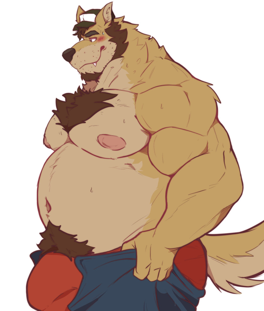 anthro belly big_bulge big_muscles big_nipples big_pecs black_nose blue_bottomwear blue_clothing blue_pants blush bodily_fluids bottomwear brown_facial_hair brown_hair bulge canid canine canis chest_tuft clothed clothing crotch_tuft dark_hair denim denim_clothing dingo facial_hair father_(lore) fur goatee hair hat headgear headwear hi_res huge_bulge jack_(daxterdingo) jeans male mammal meme musclegut muscular muscular_anthro muscular_male navel nipples overweight overweight_anthro overweight_male pants parent_(lore) pecs pink_nipples pulling_up_pants red_clothing red_underwear sideburns solo sweat sweatdrop tan_body tan_fur teeth thunderhacs tight_pants_(meme) topless tuft underwear