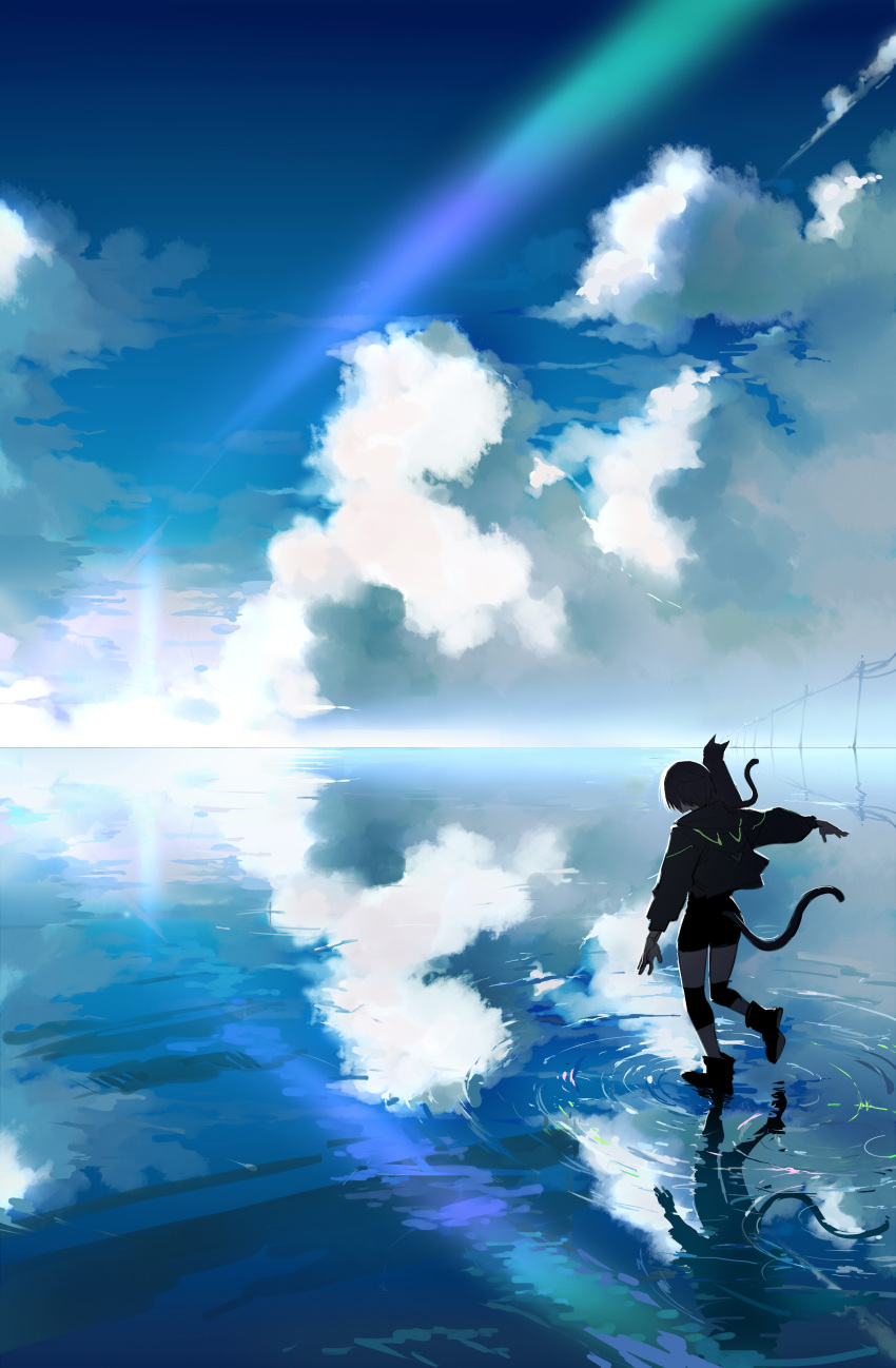 1girl absurdres cat cat_tail cloud facing_away full_body glint highres horizon long_sleeves original outdoors ratatatat74 reflection ripples solo tail walking walking_on_liquid water water_world