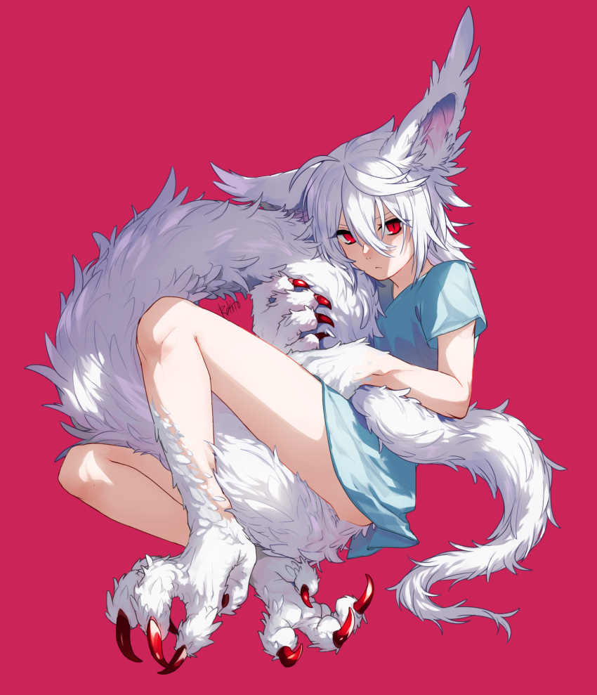 1boy :&lt; androgynous animal_ear_fluff animal_ears animal_feet blue_shirt bottomless claws closed_mouth full_body hair_between_eyes highres holding_own_tail long_tail looking_at_viewer male_focus medium_hair monster_boy original red_background red_eyes rokito shirt short_sleeves simple_background sitting slit_pupils solo tail white_fur white_hair