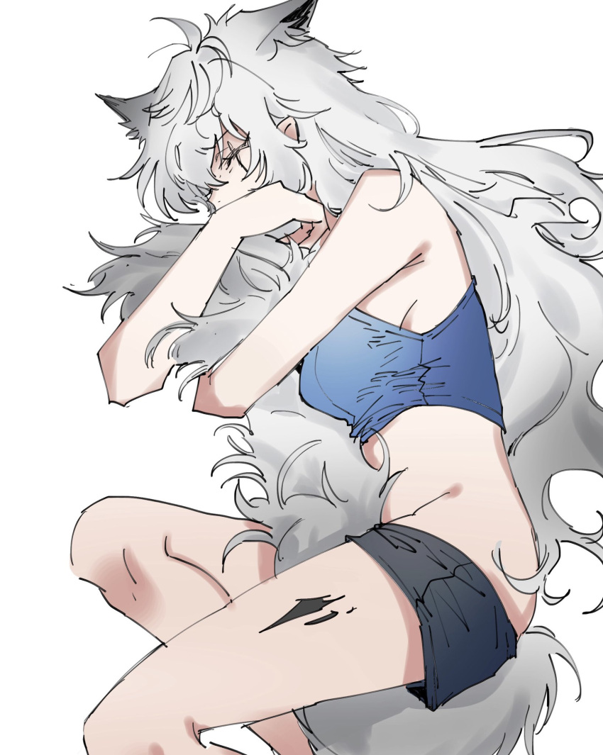 1girl animal_ears arknights black_shorts blue_shirt closed_eyes clothes_pull commentary_request crop_top extra_ears feet_out_of_frame grey_hair grey_tail groin highres hugging_own_tail hugging_tail lappland_(arknights) long_hair lying messy_hair na_tarapisu153 on_side oripathy_lesion_(arknights) scar scar_across_eye shirt shorts shorts_pull simple_background sleeping solo tail white_background wolf_ears wolf_girl wolf_tail