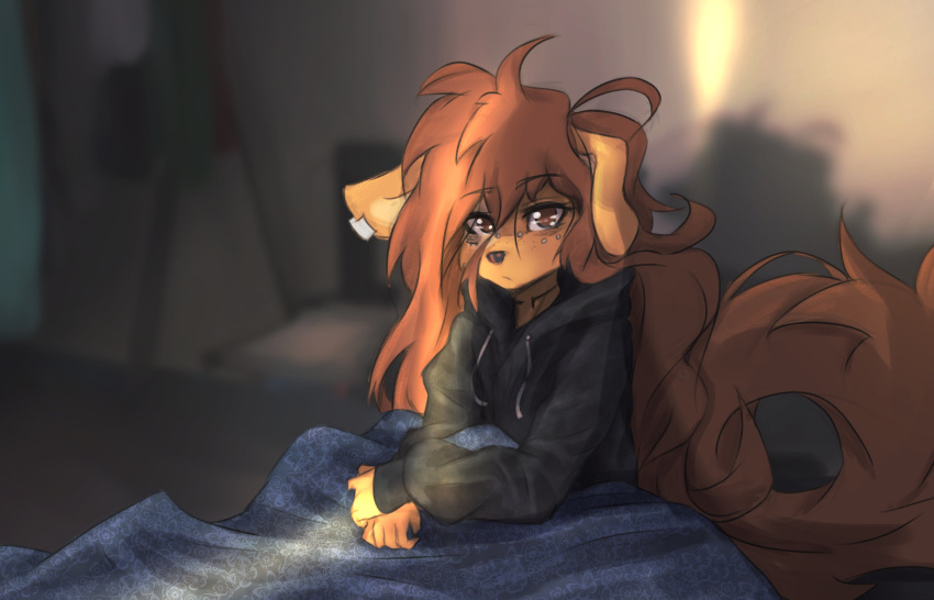 2023 absurd_res anthro apogee_(tinygaypirate) bedding blanket breasts canid canine canis clothed clothing digital_media_(artwork) domestic_dog female female_anthro fur hair hi_res hoodie kemono long_hair looking_at_viewer mammal piercing small_breasts solo spitz tail tattoo tinygaypirate topwear