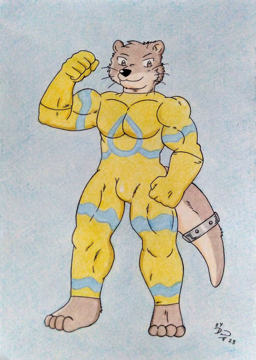 4_toes 5_fingers absurd_res accessory anthro barazoku biceps black_nose brown_body brown_eyes brown_fur bulge clothing dashthefox feet fingers flexing flexing_bicep fur furgonomics hi_res male mammal manly muscular muscular_anthro muscular_male mustelid otter pecs simple_background solo superhero tail tail_accessory thick_tail tight_clothing toes traditional_media_(artwork) uniform yellow_clothing