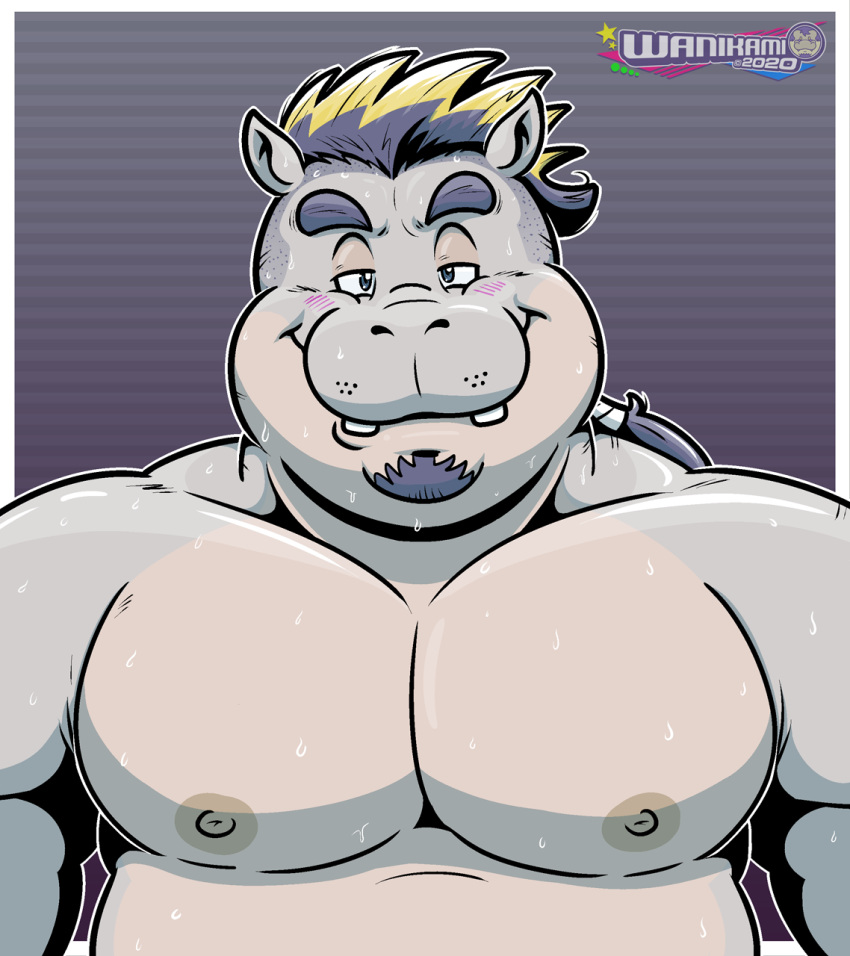 anthro bodily_fluids chubby_male common_hippopotamus hi_res highlights_(coloring) hippopotamid male mammal musclegut muscular muscular_male nipples ollie_baysch pecs slightly_chubby smile smiling_at_viewer solo sweat wanikami