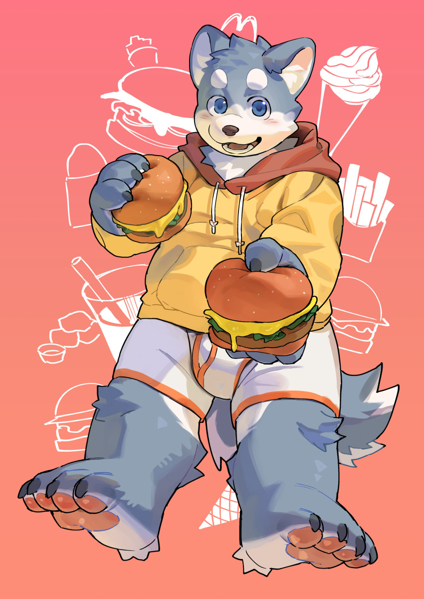 9x8bit absurd_res anthro boxer_briefs burger canid canine clothing food hi_res hoodie male mammal plantigrade simple_background solo topwear underwear