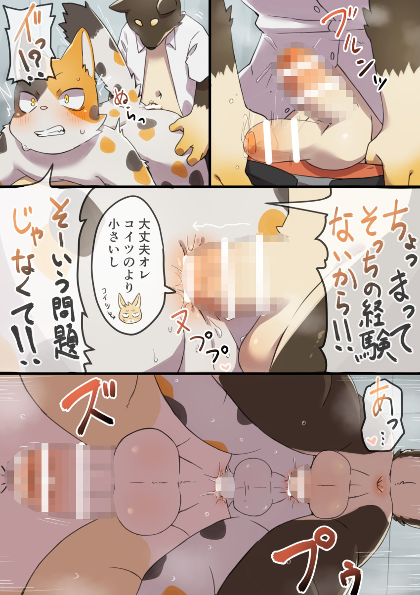 anal anthro anus balls black_body black_fur blush calico_cat canid canine canis domestic_cat domestic_dog erection felid feline felis fur genitals group group_sex hi_res hitsuzi_taro11 japanese_text kemono lagomorph leporid male male/male male_penetrated male_penetrating male_penetrating_male mammal nude penetration penis perineum rabbit sex slightly_chubby spots spotted_body spotted_fur tan_body tan_fur text threesome trio