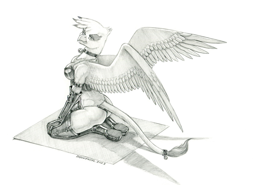 anthro armwear avian baron_engel bell bell_collar bikini bikini_thong boots breasts butt clothing collar elbow_gloves equid equine female footwear friendship_is_magic gilda_(mlp) gloves graphite_(artwork) gryphon handwear hasbro kneeling leather leather_bikini leather_boots leather_clothing leather_footwear leather_swimwear legwear looking_at_viewer looking_back looking_back_at_viewer mammal midriff monochrome my_little_pony mythological_avian mythology pencil_(artwork) simple_background solo spread_wings swimwear tail thigh_highs traditional_media_(artwork) white_background wings