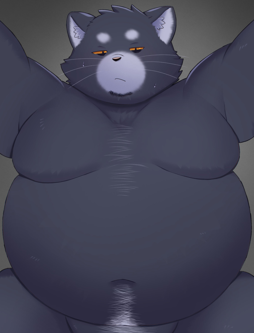 2023 absurd_res anthro belly big_belly black_body black_nose domestic_cat felid feline felis hi_res kemono male mammal moobs navel overweight overweight_male solo trail_arnak