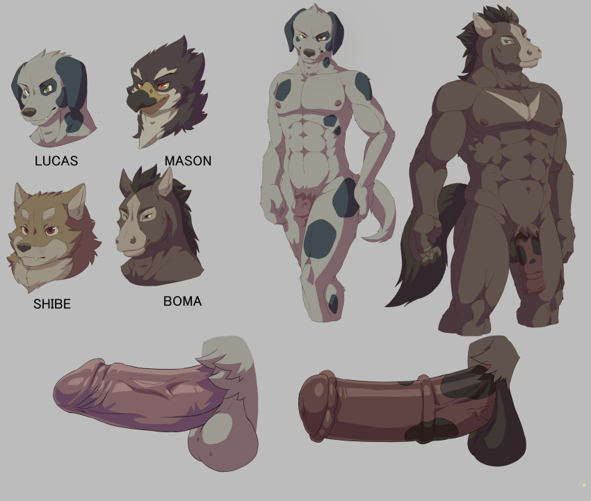 2023 abs absurd_res animal_genitalia animal_penis anthro avian balls bird blue_body blue_fur boma_(geppei5959) brown_tail canid canine canis cel_shading character_name darkened_balls darkened_genitalia domestic_dog equid equine equine_genitalia equine_penis falcon falconid flaccid fur genitals geppei5959 glans grey_background grey_nose group hand_on_hip headshot_portrait hi_res horse humanoid_genitalia humanoid_penis kemono lucas_(geppei5959) male mammal markings marson_(geppei5959) model_sheet mottled mottled_genitalia mottled_penis muscular muscular_anthro muscular_male nipples pecs penis pink_glans pink_nipples pink_penis portrait shaded shiba_inu shibe_(geppei5959) simple_background spitz tail tan_markings three-quarter_portrait v_marking vein veiny_penis