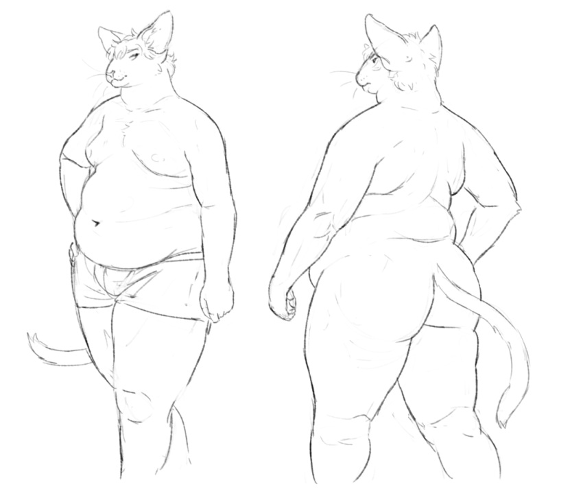 2021 anthro belly briefs briefs_only butt cettus clothed clothing domestic_cat felid feline felis hairless hairless_cat hakon_brandvold hand_on_hip male mammal moobs nude overweight overweight_anthro overweight_male peterbald rear_view sketch topless underwear underwear_only walking