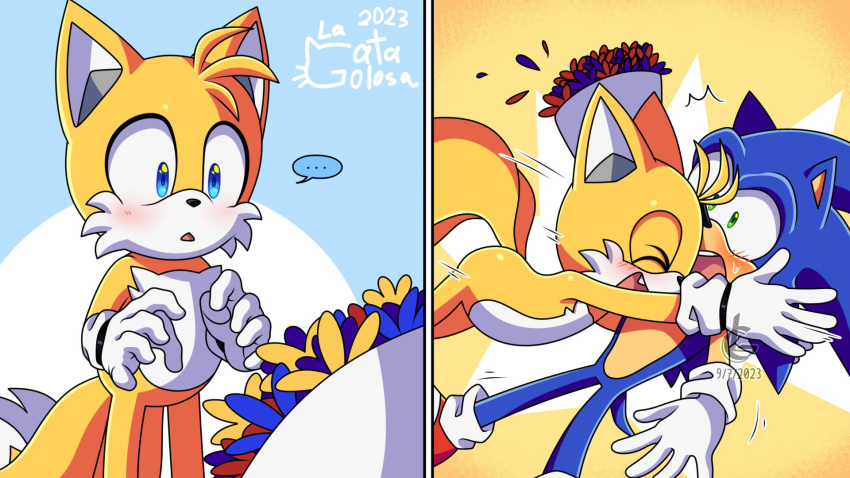 ... 2boys blue_fur blush bouquet confession couple flower fox_boy furry furry_male highres hug la_gata_golosa multiple_boys smile sonic_(series) sonic_the_hedgehog spoken_ellipsis tagme tails_(sonic) yaoi