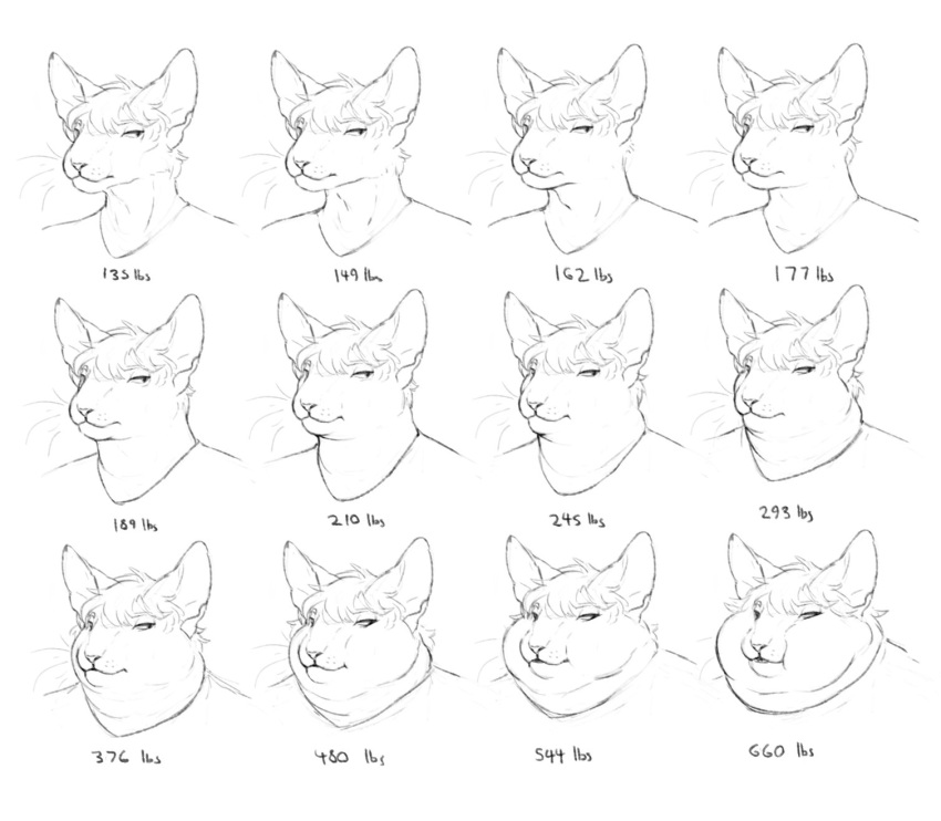 2022 anthro bust_portrait cettus chubby_cheeks clothed clothing domestic_cat felid feline felis hair hairless hairless_cat hakon_brandvold hi_res male mammal morbidly_obese morbidly_obese_anthro morbidly_obese_male multiple_images obese obese_anthro obese_male overweight overweight_anthro overweight_male peterbald portrait sequence shirt sketch slightly_chubby slightly_chubby_anthro slightly_chubby_male topwear weight_gain