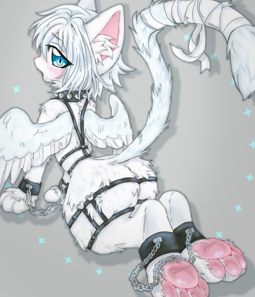 2023 anthro black_collar black_harness blue_eyes blue_hair blue_tail blue_wings blush butt_tuft chain chained collar cuff_(restraint) digital_media_(artwork) domestic_cat felid feline felis fur girly grey_background hair harness hi_res kemono light_hair light_tail light_wings male mammal metal_cuffs open_mouth pawpads pink_inner_ear pink_pawpads restrained restraints simple_background solo somberpaw spiked_collar spikes tail tuft two_tone_wings white_body white_fur wings