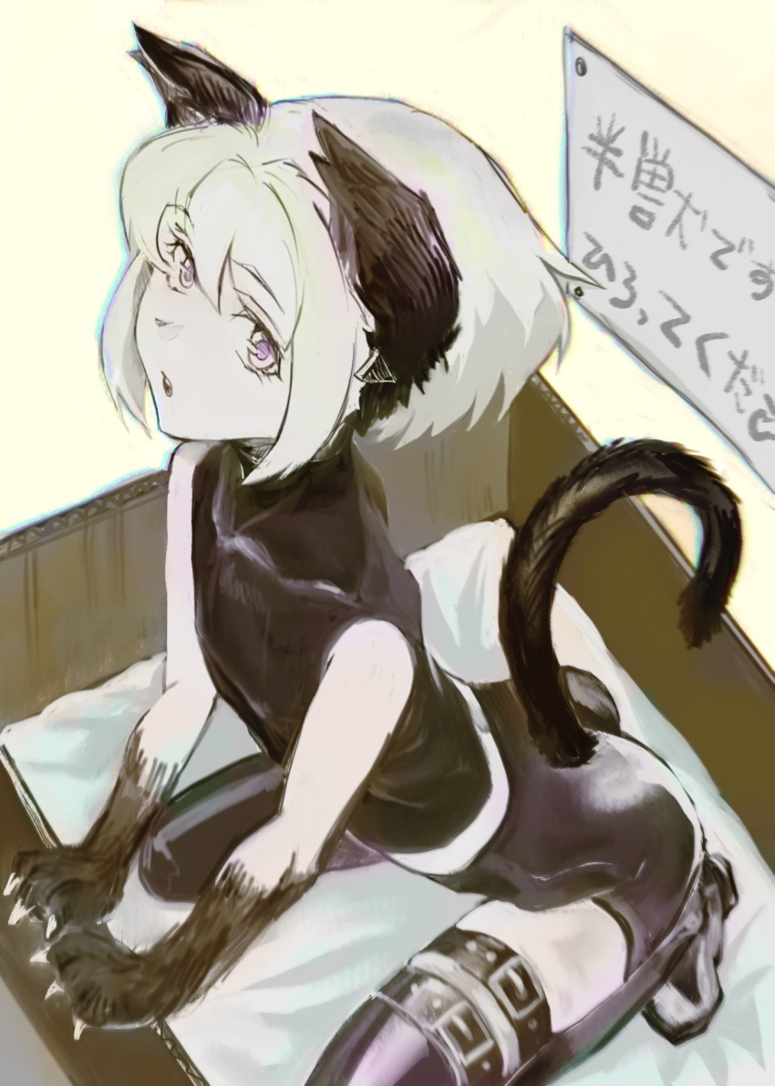 1boy alternate_costume animal_ears animal_hands arched_back ass belt black_shorts black_thighhighs box cat_boy cat_ears cat_tail claws crop_top earrings from_above highres in_box in_container jewelry koshi_koshi lio_fotia looking_at_viewer looking_up male_focus monochrome multiple_belts otoko_no_ko parted_lips promare purple_eyes short_hair short_shorts shorts sign simple_background sleeveless sleeveless_turtleneck solo spot_color squatting tail thigh_belt thigh_strap thighhighs tight_clothes triangle_earrings turtleneck