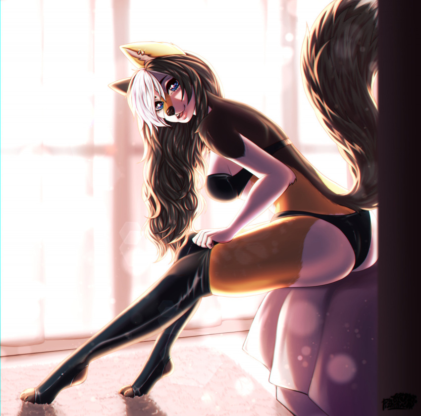 2022 anthro black_nose blue_eyes breasts brown_body brown_fur brown_hair butt canid canine claws clothing detailed_background digital_media_(artwork) dressing ear_piercing ear_ring eyebrows eyelashes feet female fluffy fluffy_tail fox fur hair hi_res highlights_(coloring) hunni_(ei-ka) latex_clothing latex_legwear latex_stockings long_hair looking_at_viewer mammal multicolored_body multicolored_fur open_mouth panties paws piercing pizhma ring_piercing side_view sitting solo tail tan_body tan_fur toe_claws underwear watermark white_body white_fur white_highlights