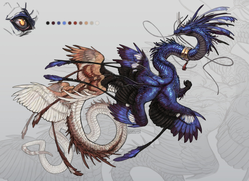 2023 8_wings absurd_res ambiguous_gender blue_body blue_feathers blue_wings collar collar_only countershade_neck countershade_tail countershading dragon feathered_wings feathers feral grey_body hi_res long_tail model_sheet multi_wing multicolored_body nude orange_body orange_wings scales snout solo tail two_tone_body unravy whiskers white_body white_scales wings
