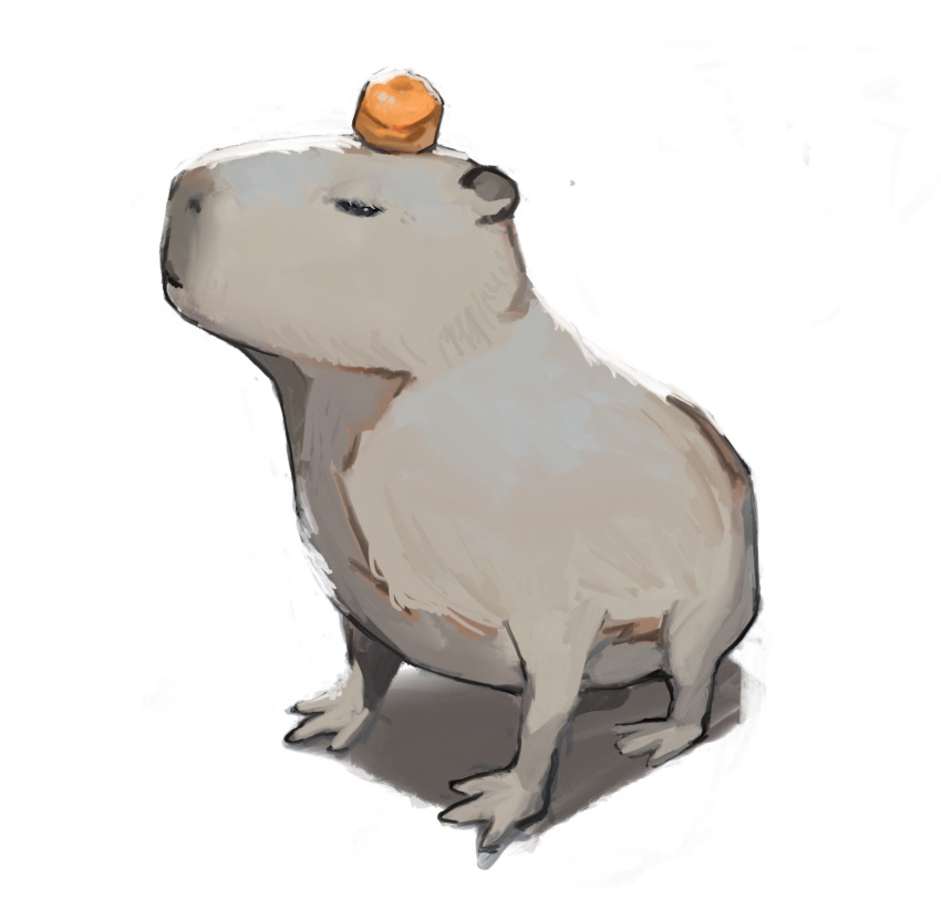 animal_focus capybara commentary dated_commentary food food_on_head fruit fruit_on_head highres mandarin_orange no_humans object_on_head original potatomochii simple_background white_background