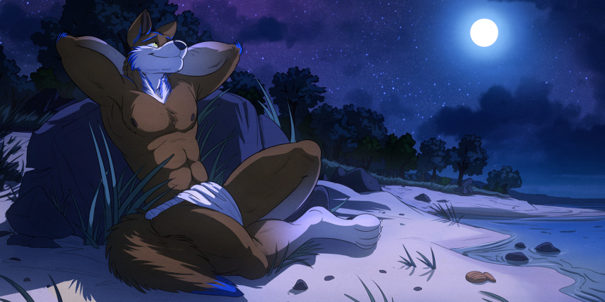 anthro beach bottomwear canid canine canis clothing cloud comfortable forest forest_background hi_res loincloth male mammal moon nature nature_background night ottertem plant sand seaside solo space star temiree the_ardwolf tree wolf