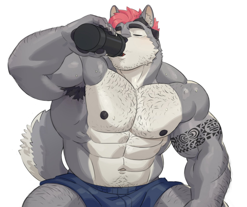 anthro arm_tattoo armpit_hair beard beverage bodily_fluids body_hair canid canine canis chest_hair dark_nipples domestic_dog facial_hair food fur grey_body grey_fur gym hair hairy hairy_arms hairy_legs hi_res hot_dog husky husky92 imato invalid_tag male male/male mammal muscle_tone muscular muscular_male nipples nordic_sled_dog pawpads pink_hair solo spitz sweat tattoo
