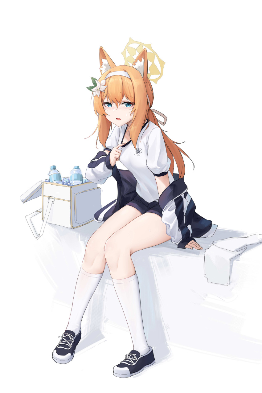 1girl :o absurdres animal_ear_fluff animal_ears arm_support blue_archive blue_eyes bottle breasts cooler dot_nose full_body halo highres ice jacket kafeifeifeifeifeifei_jiemo_jun kneehighs knees_together_feet_apart legs_together light_blush long_hair looking_at_viewer mari_(blue_archive) mari_(track)_(blue_archive) off_shoulder official_alternate_costume open_mouth orange_hair shadow shirt shoes short_shorts shorts simple_background sitting small_breasts sneakers socks solo sweat thighs towel water_bottle white_background white_shirt