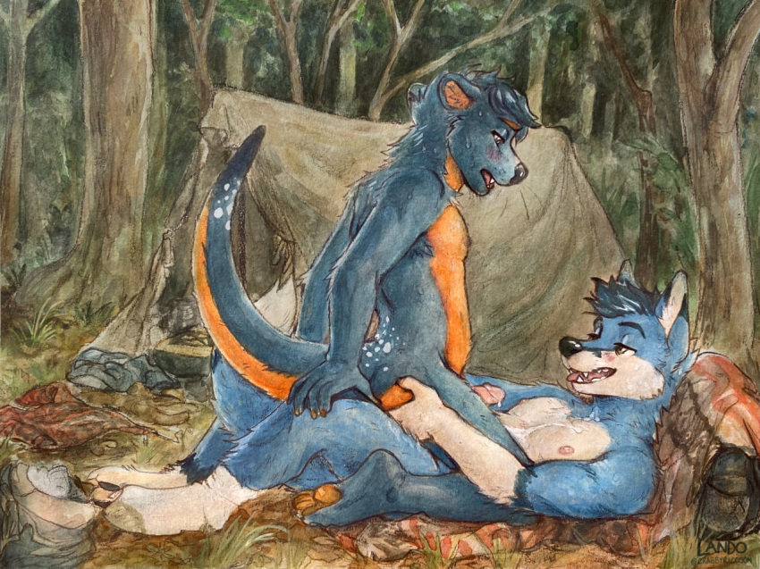 anal anal_orgasm anal_penetration anthro archer_(archer_fox) big_butt blue_body blue_fur blush bodily_fluids butt camping camping_tent canid canine clothed clothing colored_pencil_(artwork) cum cum_on_chest cum_on_chest_fluff cum_on_face duo exhibitionism footwear forest forest_background fox fur genital_fluids genitals hand_on_butt humanoid_genitalia humanoid_penis male male/male mammal membrane_(anatomy) mustelid nature nature_background orange_body orange_fur orgasm orgasm_face otter outdoor_nudity outdoor_sex outside outside_sex partial_nudity partially_clothed penetration penis plant public public_sex sex sicklyhypnos socks spread_butt spreading sweat sweatdrop thick_thighs tongue tongue_out traditional_media_(artwork) tree webbed_feet zaffre_(zaffre_otter)