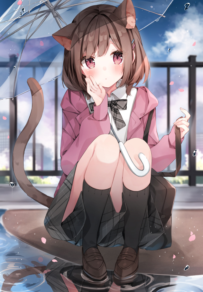 1girl animal_ears blurry blurry_background blush brown_eyes brown_hair cat_ears cat_tail extra_ears heripiro highres holding holding_umbrella jacket looking_at_viewer open_clothes open_jacket original outdoors petals puddle reflection short_hair skirt solo squatting tail umbrella