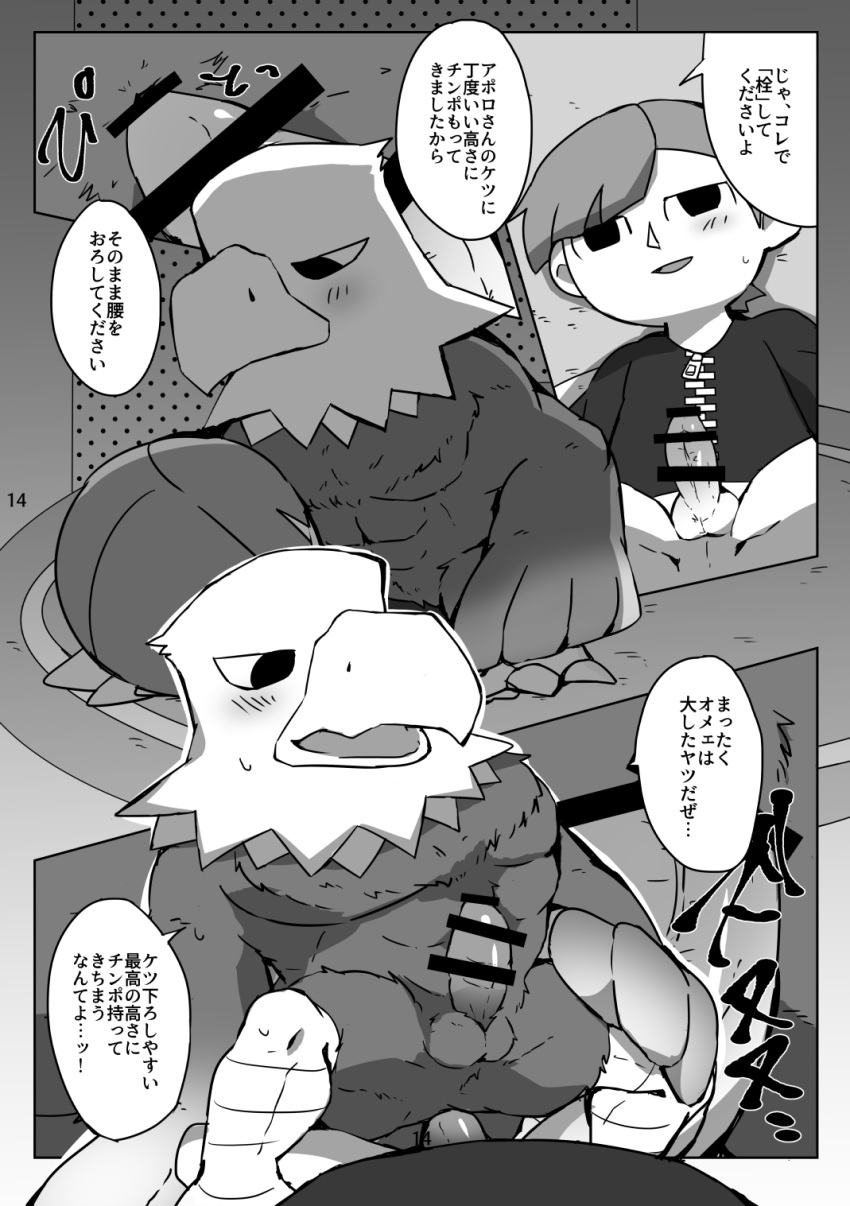 accipitrid accipitriform anal animal_crossing anthro apollo_(animal_crossing) avian balls bird blush comic doujinshi duo eagle erection genitals hi_res human japanese_text male male/male male_penetrated male_penetrating male_penetrating_male mammal monochrome muscular muscular_anthro muscular_male nintendo penetration penis sex short_stack text ueno_ebi_sen villager_(animal_crossing)