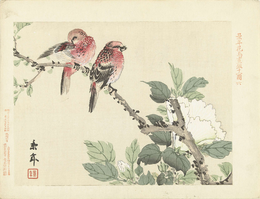 animal animal_focus animal_request bird bird_request fine_art flower flower_request highres imao_keinen nihonga no_humans original plant plant_request red_bird standing_on_branch traditional_media ukiyo-e white_flower