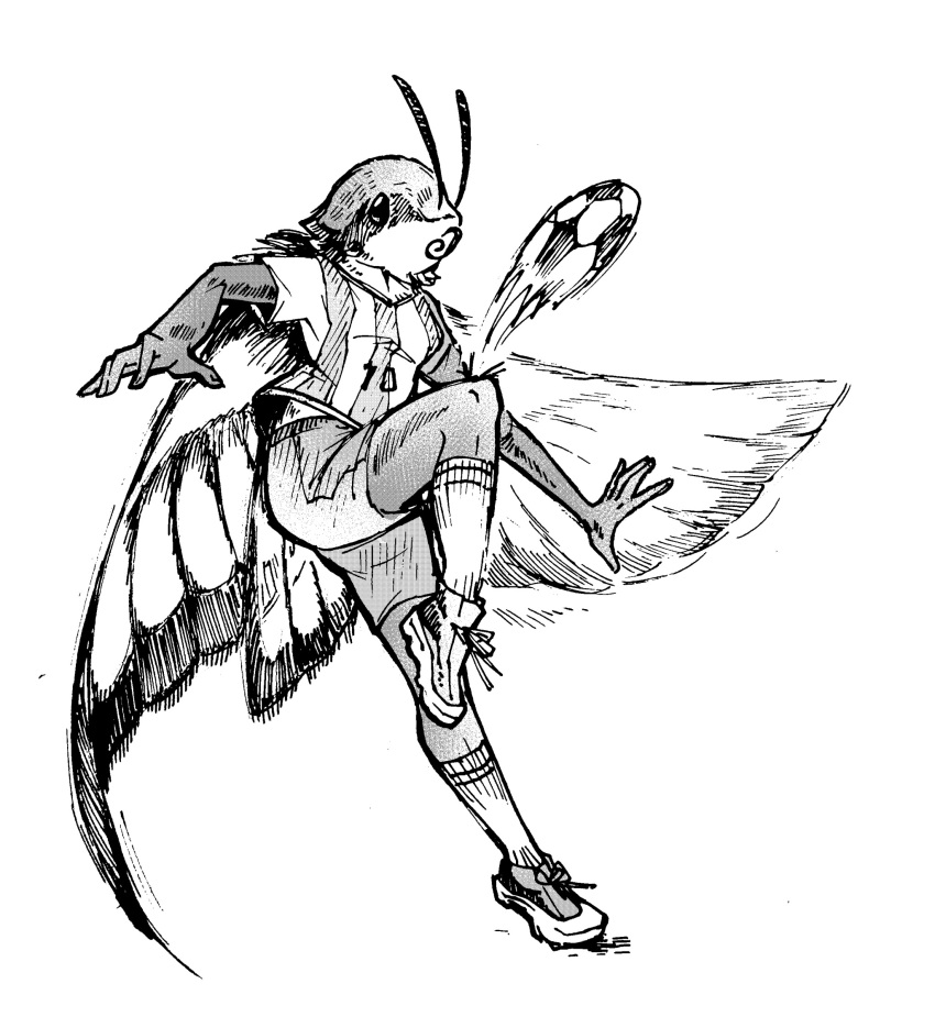 action_pose antennae_(anatomy) anthro arthropod ball bedupolker bottomwear clothed clothing female footwear fully_clothed hi_res humanoid_hands hummingbird_moth insect insect_wings lepidopteran lepidopteran_wings moth plantigrade pose proboscis_(anatomy) shirt shoes shorts sneakers soccer_ball socks solo t-shirt topwear wings