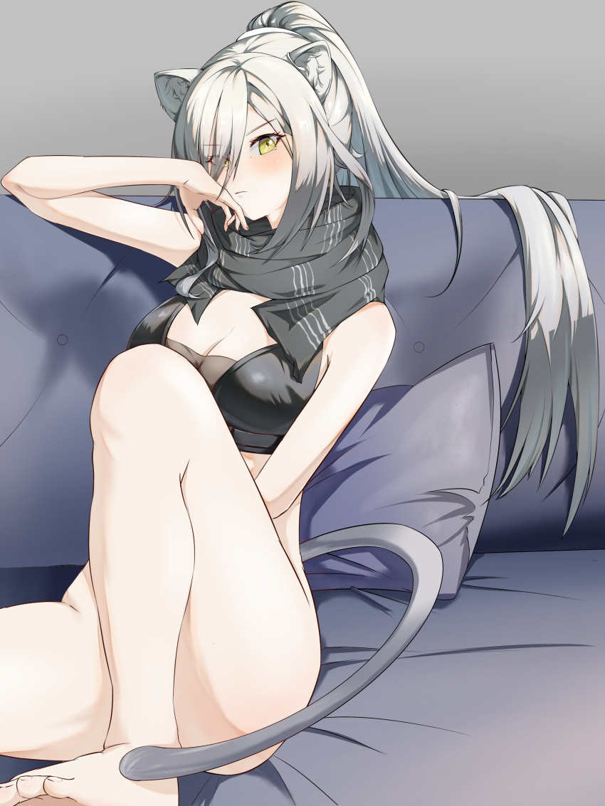 1girl absurdres arknights barefoot black_scarf blush bottomless breasts cat_tail chinese_commentary cleavage commentary_request convenient_leg crop_top grey_hair highres knee_up long_hair looking_at_viewer ponytail scarf schwarz_(arknights) sitting sleeveless solo tail thighs very_long_hair wusuobushiheidongsang yellow_eyes