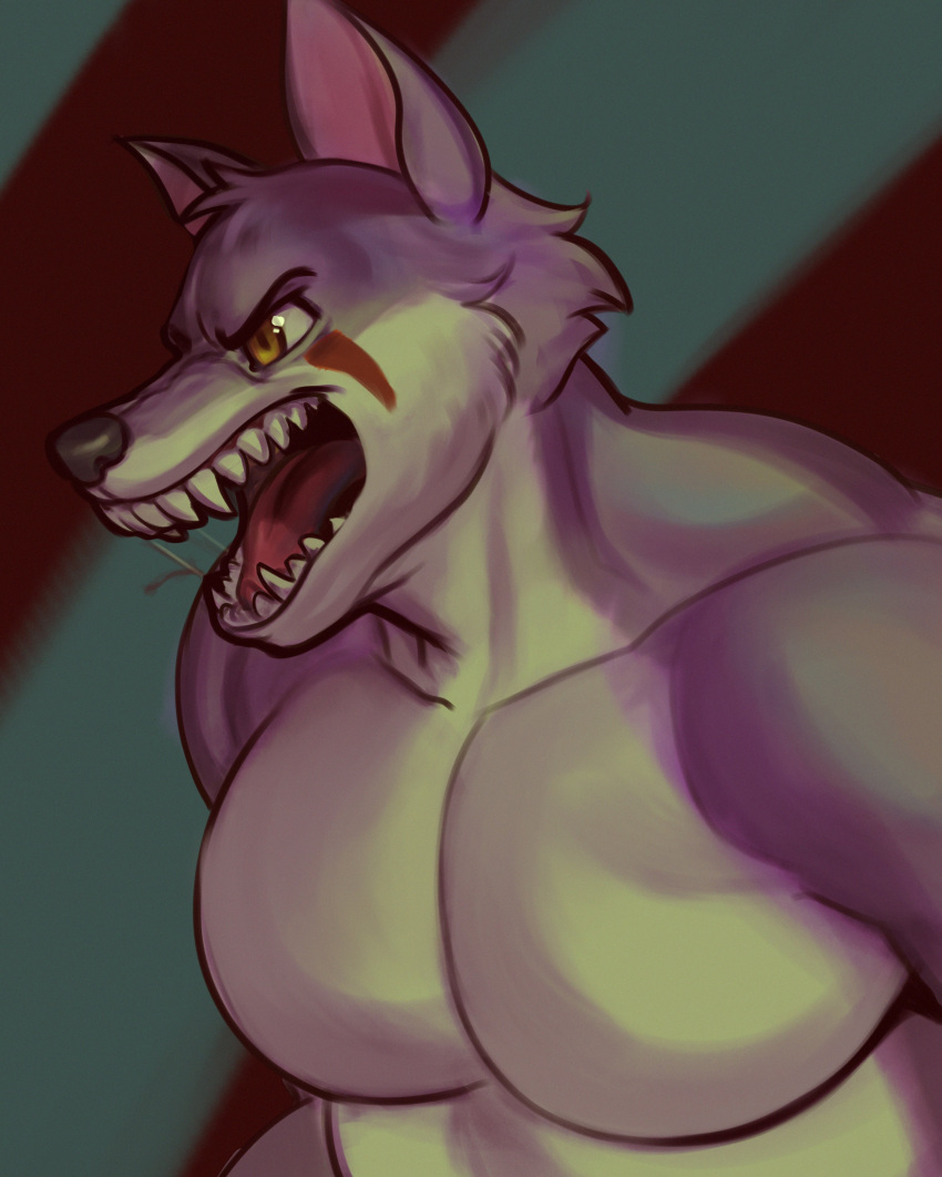 abs absurd_res anthro canid canine canis cheek_tuft diadorin facial_tuft fangs fur half-closed_eyes hi_res male mammal muscle_tone muscular muscular_anthro muscular_male narrowed_eyes pattern_background pecs purple_body purple_fur sharp_teeth simple_background solo teeth tuft white_body white_fur wolf