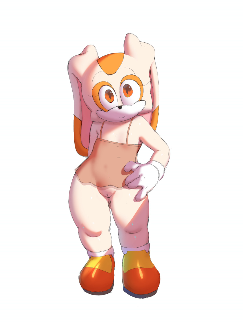 absurd_res blush clothed clothing cream_the_rabbit digital_media_(artwork) female genitals hi_res kranson lagomorph leporid mammal nipples nude pussy rabbit sega simple_background solo sonic_the_hedgehog_(series) topwear