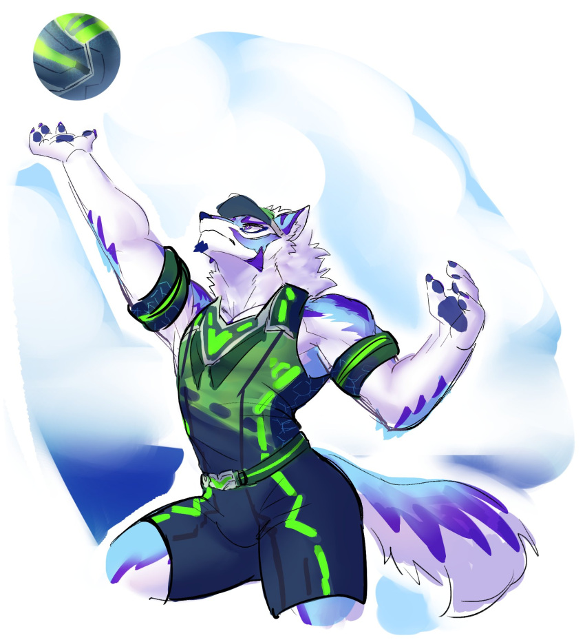 anthro bottomwear bulge clothing facial_markings fur hat head_markings headgear headwear hi_res lifewonders live_a_hero male markings muscular muscular_anthro muscular_male pawpads sadayoshi shorts solo sport visor_cap volleyball white_body white_fur yummi_yam_i