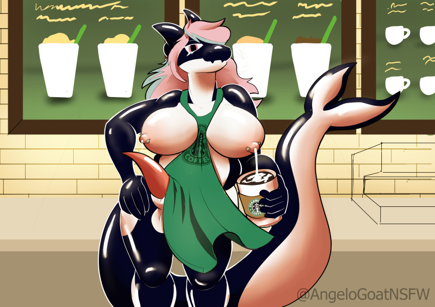 absurd_res angelogoat666 anthro barista beverage big_breasts big_butt black_body breasts butt cashier cetacean chubby_female coffee coffee_cup container cup dolphin female gynomorph hi_res inside intersex mammal marine menu_board milk oceanic_dolphin orca reflective_body simple_background slightly_chubby smug solo solo_focus starbucks thick_thighs toothed_whale white_body